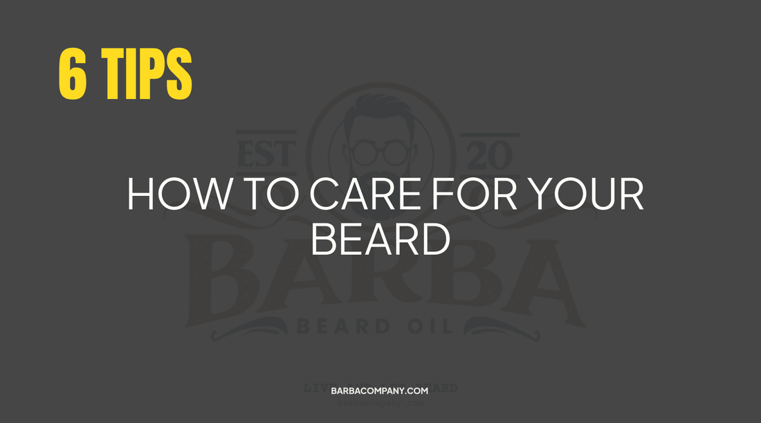 How to Care for Your Beard: 6 Tips - Barba Beard Company
