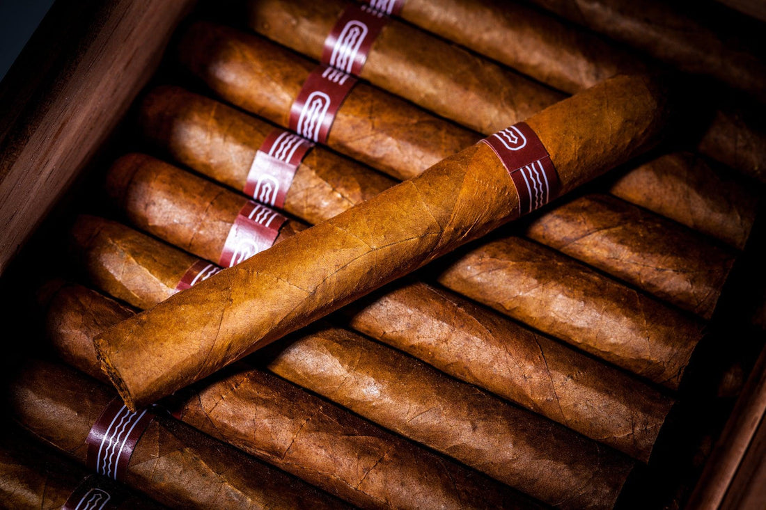 How To Choose Good Cigars: 7 Essential Tips - Barba Beard Company